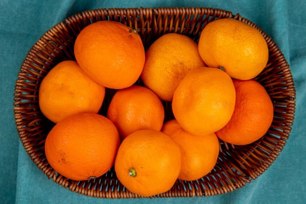 Naartjie Tree Satsuma From The Garden